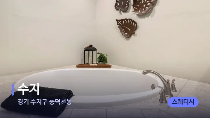 경기 수지구 풍덕천동 수지 — 웰니스 스파 공간