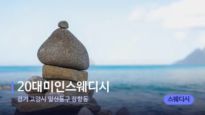 경기 고양시 일산동구 장항동 20대미인스웨디시 — 마사지용 스톤