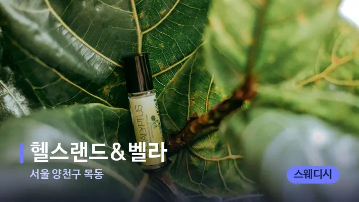서울 양천구 목동 헬스랜드&벨라 — 아로마테라피 오일