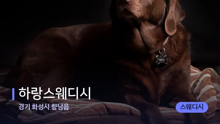 경기 화성시 향남읍 하랑스웨디시 — 휴식 분위기의 스파 베드