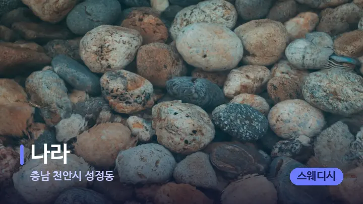 충남 천안시 성정동 나라 — 마사지용 스톤