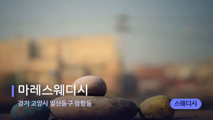 경기 고양시 일산동구 장항동 마레스웨디시 — 마사지용 스톤