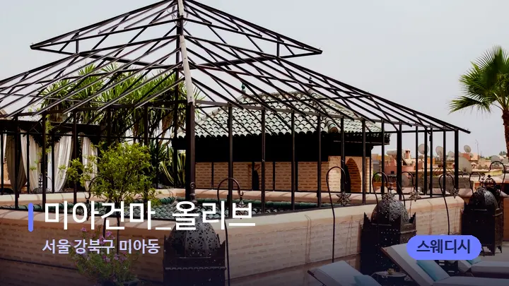 서울 강북구 미아동 미아건마_올리브 — 스파 프런트 공간