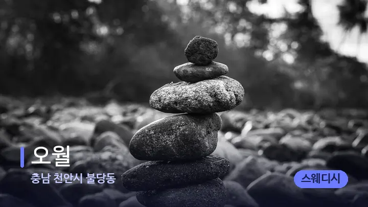 충남 천안시 불당동 오월 — 마사지용 스톤