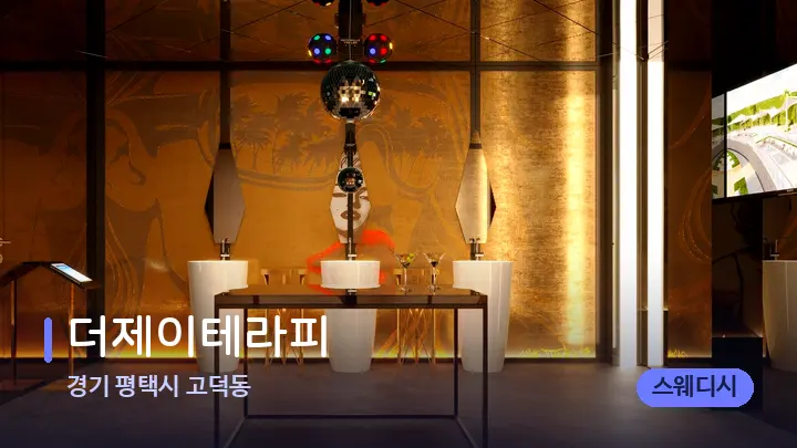 경기 평택시 고덕동 더제이테라피 — 웰니스 스파 공간