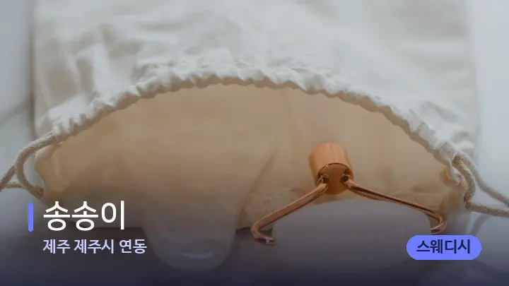 제주 제주시 연동 송송이 — 마사지용 스톤
