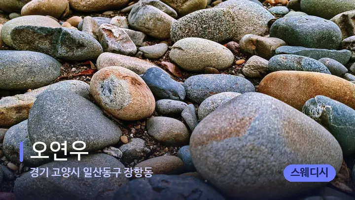경기 고양시 일산동구 장항동 오연우 — 마사지용 스톤
