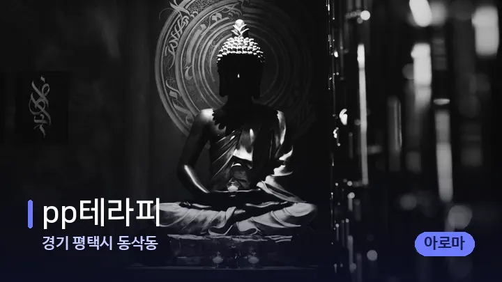 경기 평택시 동삭동 pp테라피 — 웰니스 스파 공간