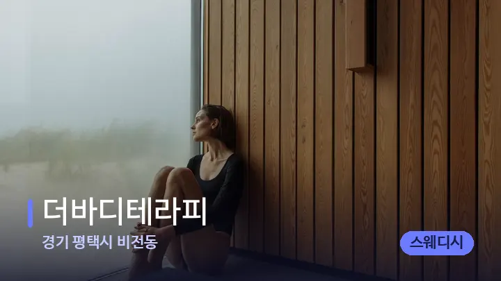 경기 평택시 비전동 더바디테라피 — 웰니스 스파 공간