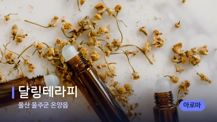 울산 울주군 온양읍 달링테라피 — 아로마테라피 오일