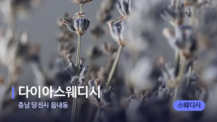 충남 당진시 읍내동 다이아스웨디시 — 아로마테라피 오일