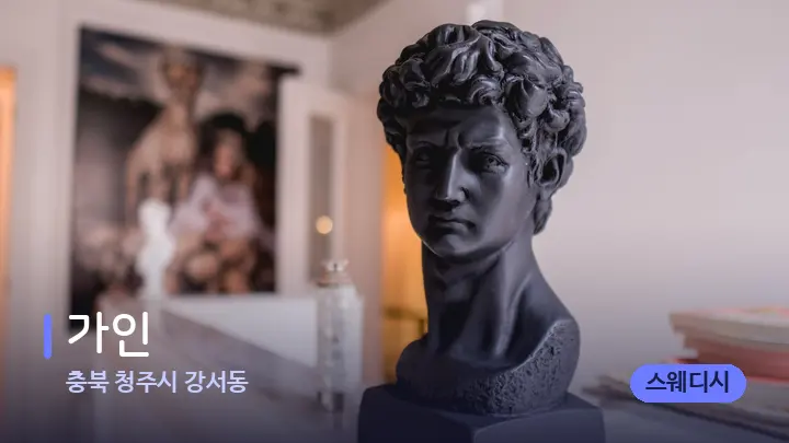 충북 청주시 강서동 가인 — 스파 프런트 공간