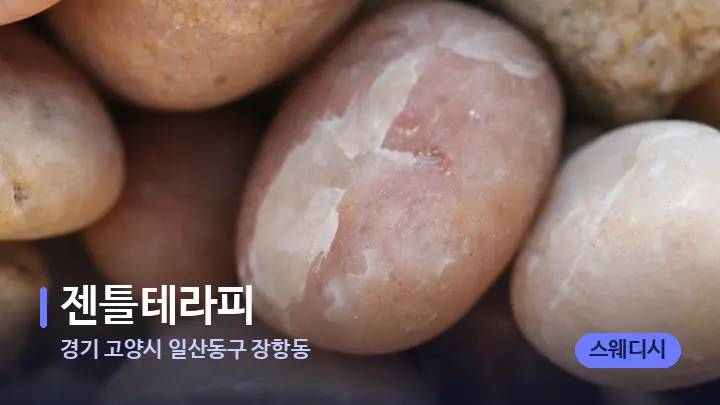 경기 고양시 일산동구 장항동 젠틀테라피 — 마사지용 스톤
