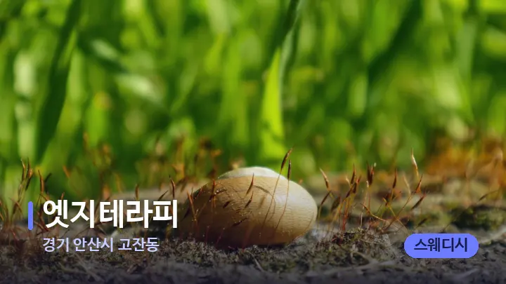 경기 안산시 고잔동 엣지테라피 — 마사지용 스톤