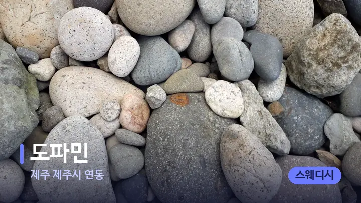 제주 제주시 연동 도파민 — 마사지용 스톤