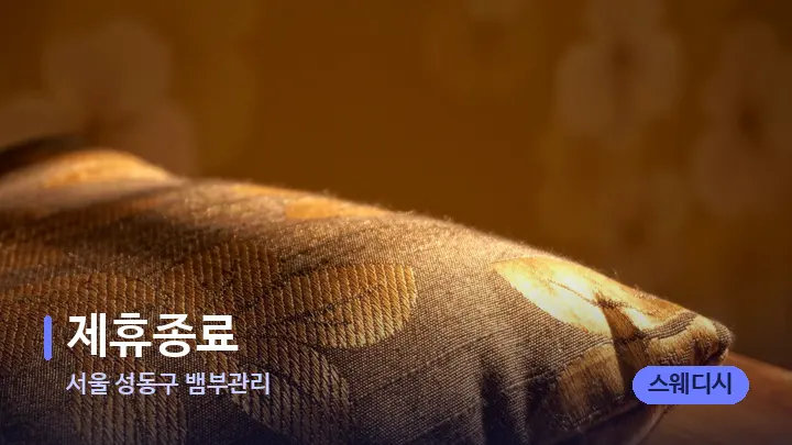 서울 성동구 뱀부관리 제휴종료 — 휴식 분위기의 스파 베드