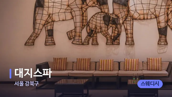 서울 강북구 대지스파 — 스파 프런트 공간
