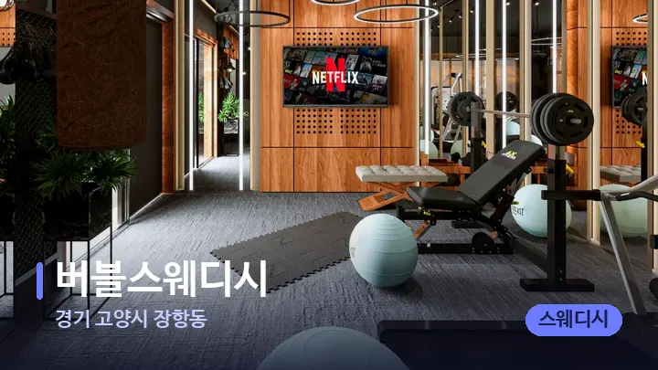 경기 고양시 장항동 버블스웨디시 — 웰니스 스파 공간