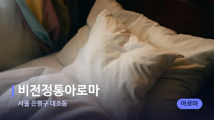 서울 은평구 대조동 비전정통아로마 — 휴식 분위기의 스파 베드