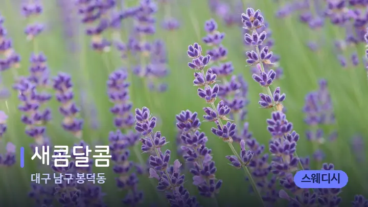 대구 남구 봉덕동 새콤달콤 — 아로마테라피 오일