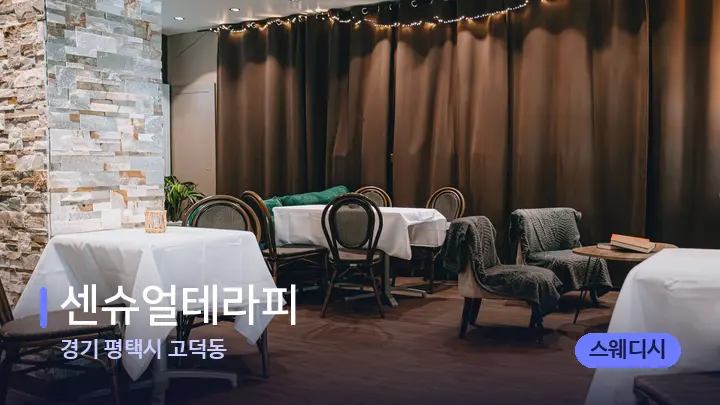 경기 평택시 고덕동 센슈얼테라피 — 웰니스 스파 공간