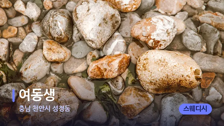 충남 천안시 성정동 여동생 — 마사지용 스톤