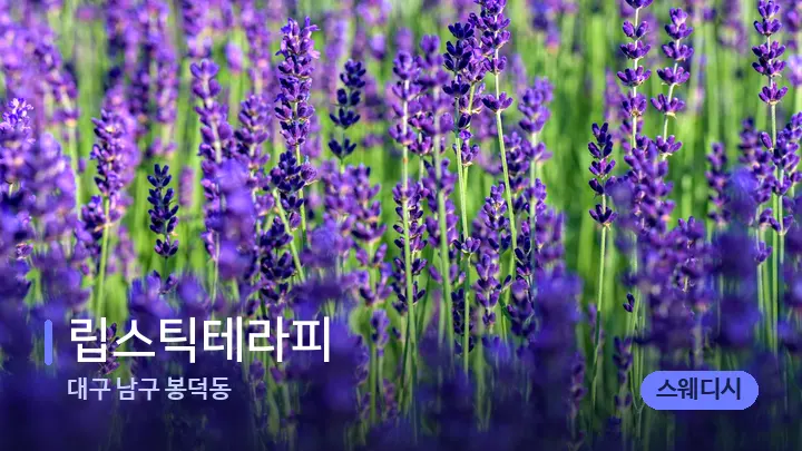 대구 남구 봉덕동 립스틱테라피 — 아로마테라피 오일
