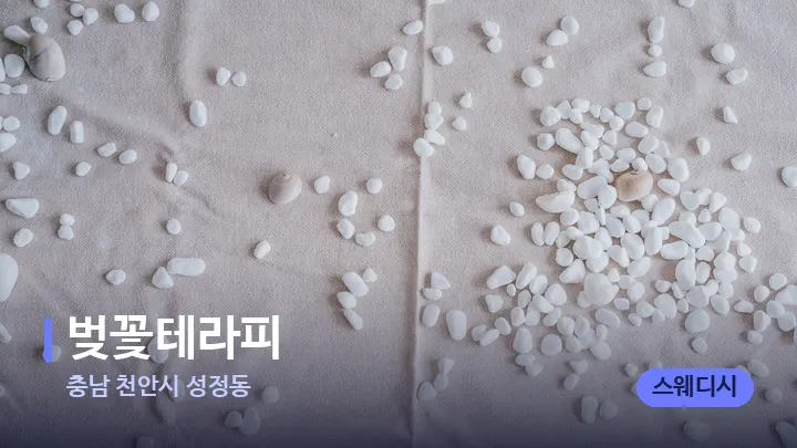 충남 천안시 성정동 벚꽃테라피 — 마사지용 스톤