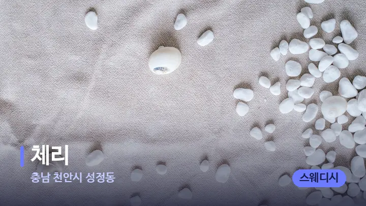 충남 천안시 성정동 체리 — 마사지용 스톤
