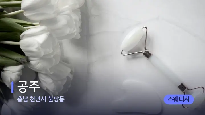 충남 천안시 불당동 공주 — 마사지용 스톤