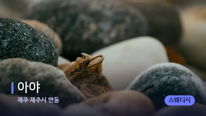 제주 제주시 연동 아야 — 마사지용 스톤