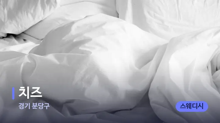 경기 분당구 치즈 — 휴식 분위기의 스파 베드