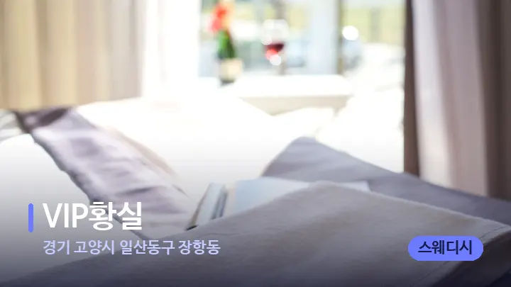경기 고양시 일산동구 장항동 VIP황실 — 마사지 베드가 놓인 관리실