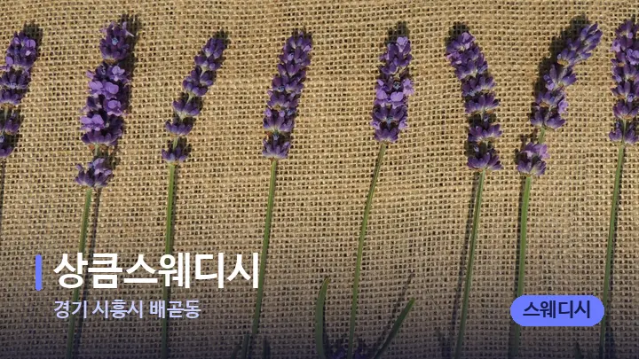 경기 시흥시 배곧동 상큼스웨디시 — 아로마테라피 오일