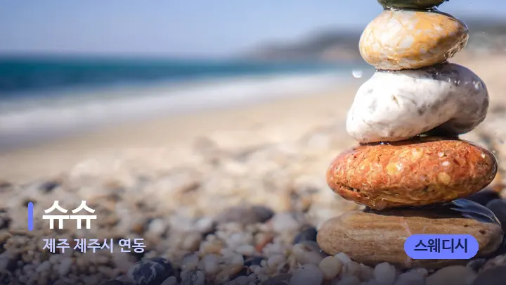 제주 제주시 연동 슈슈 — 마사지용 스톤