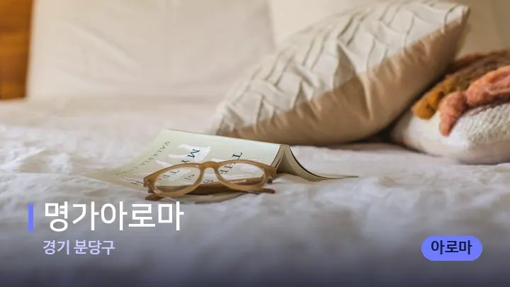 경기 분당구 명가아로마 — 휴식 분위기의 스파 베드