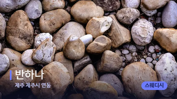 제주 제주시 연동 반하나 — 마사지용 스톤