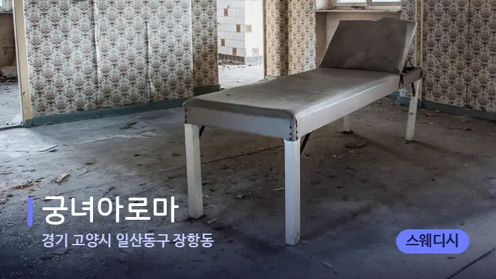 경기 고양시 일산동구 장항동 궁녀아로마 — 마사지 베드가 놓인 관리실