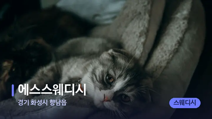 경기 화성시 향남읍 에스스웨디시 — 휴식 분위기의 스파 베드