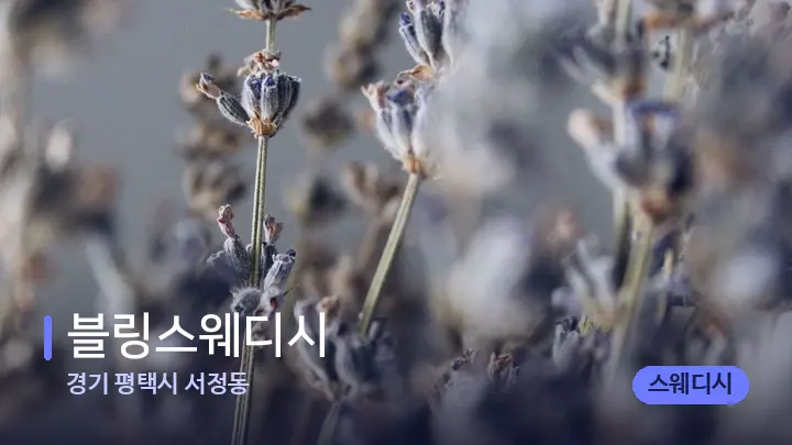 경기 평택시 서정동 블링스웨디시 — 아로마테라피 오일