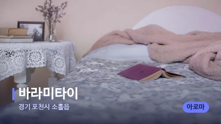 경기 포천시 소흘읍 바라미타이 — 휴식 분위기의 스파 베드