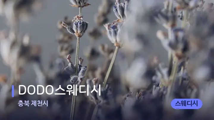 충북 제천시 DODO스웨디시 — 아로마테라피 오일
