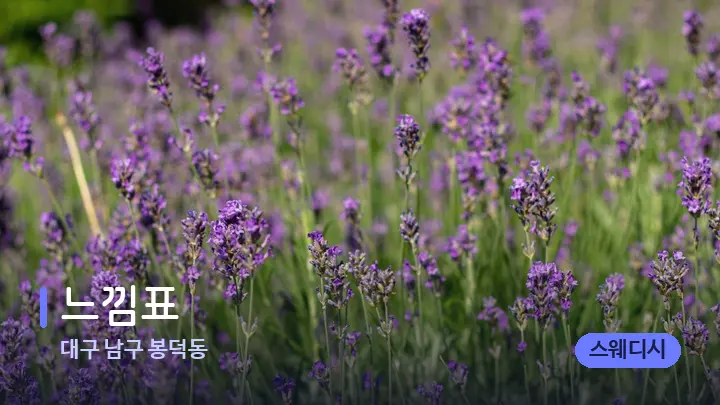 대구 남구 봉덕동 느낌표 — 아로마테라피 오일