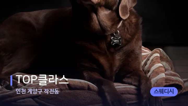 인천 계양구 작전동 TOP클라스 — 휴식 분위기의 스파 베드