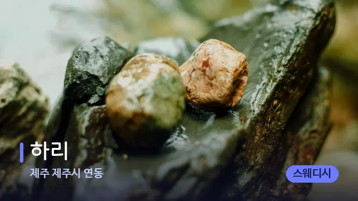 제주 제주시 연동 하리 — 마사지용 스톤