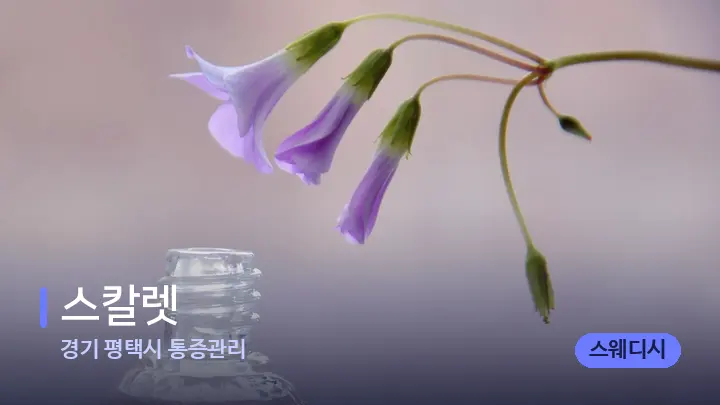 경기 평택시 통증관리 스칼렛 — 아로마테라피 오일
