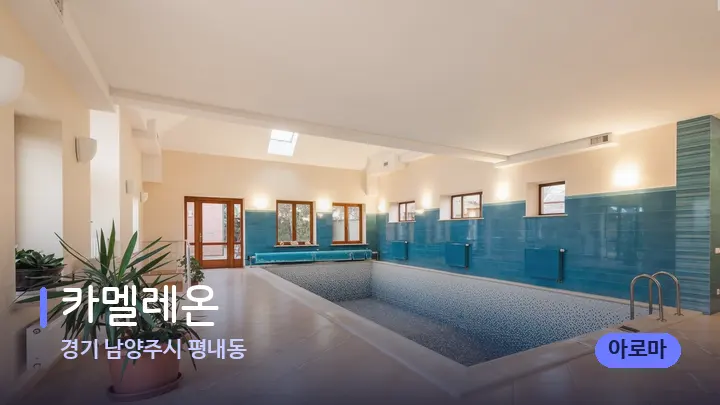 경기 남양주시 평내동 카멜레온 — 웰니스 스파 공간