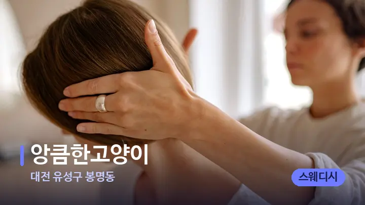 대전 유성구 봉명동 앙큼한고양이 — 어깨를 다루는 관리사의 손