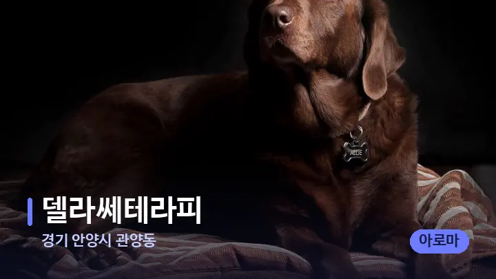 경기 안양시 관양동 델라쎄테라피 — 휴식 분위기의 스파 베드