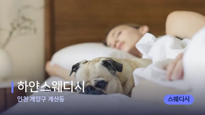 인천 계양구 계산동 하얀스웨디시 — 휴식 분위기의 스파 베드
